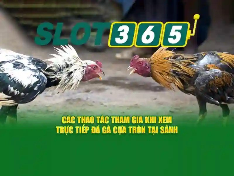 An toàn và trách nhiệm khi chơi Slot365