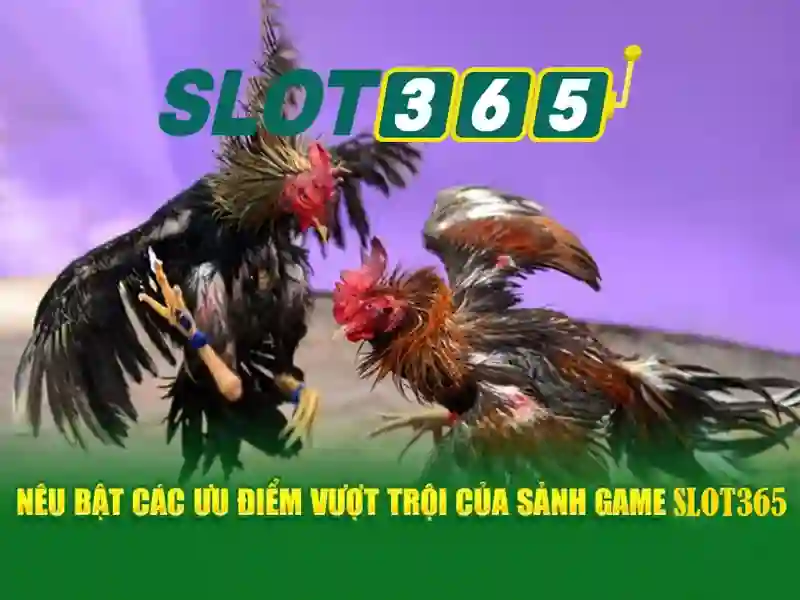 Tiện ích bảo mật và thanh toán an toàn