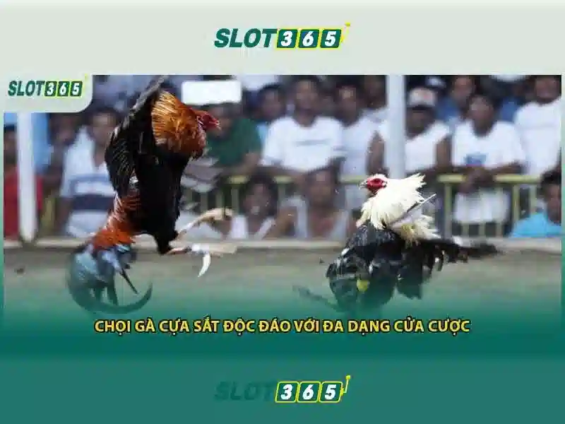 Giới thiệu về Slot365