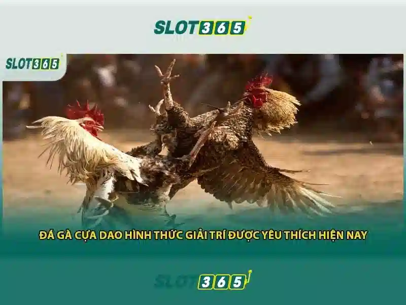 Khuyến mãi và chương trình thành viên