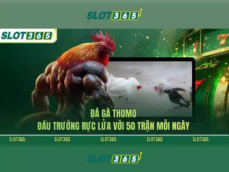Slot365: Đánh giá nền tảng casino trực tuyến