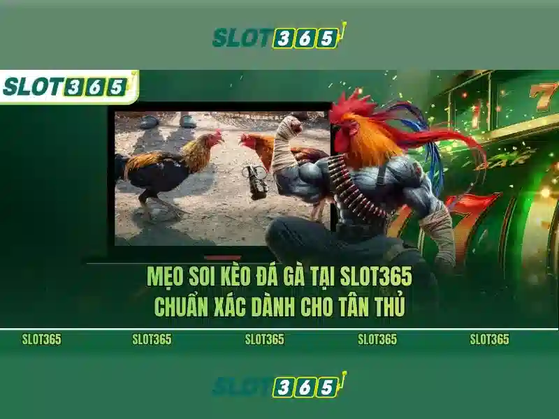 Hiệu suất và công nghệ phía sau Slot365