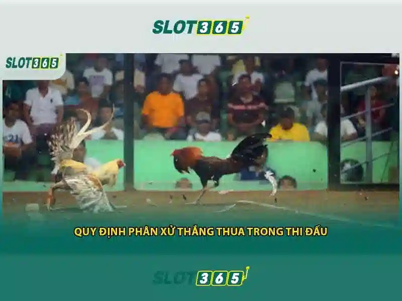 Kết luận về trải nghiệm người dùng
