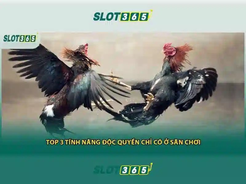 Slot365 – Nền tảng trò chơi slot trực tuyến hàng đầu