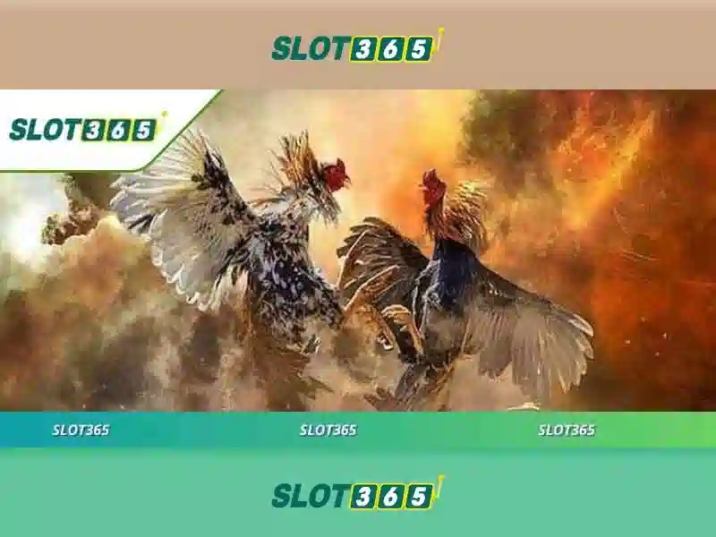 Giao dien don gian va tinh nang cua Slot365
