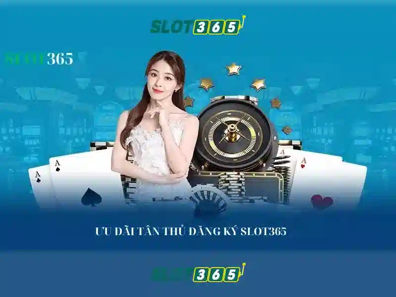 Kết luận và khuyến mãi