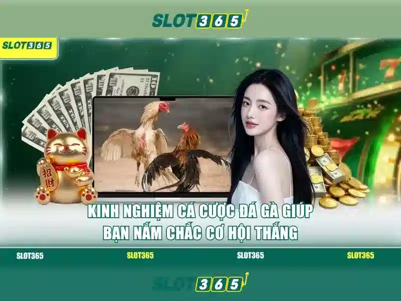 Cách tham gia Slot365