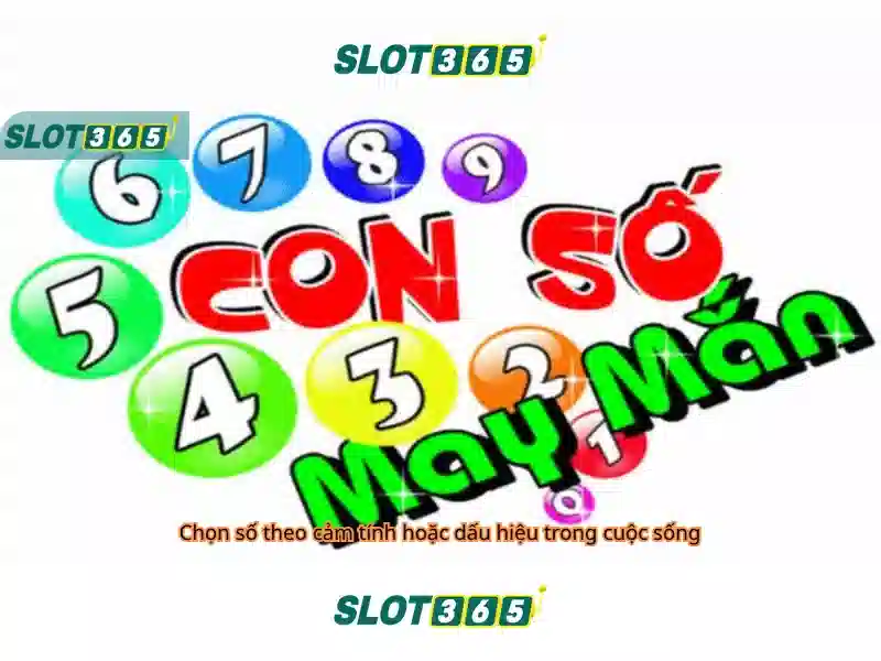 Slot365 - Nền tảng giải trí cá cược trực tuyến