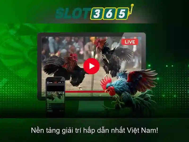 Ưu đãi và thanh toán