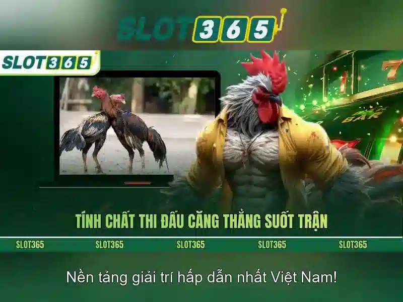 Tiện ích thanh toán và bảo mật