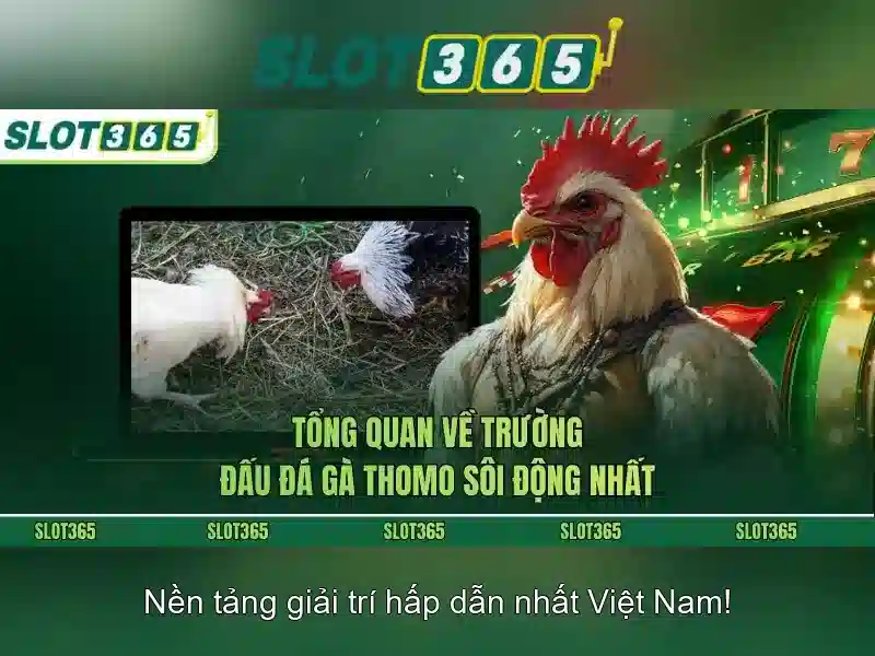 Trải nghiệm di động và tối ưu hóa