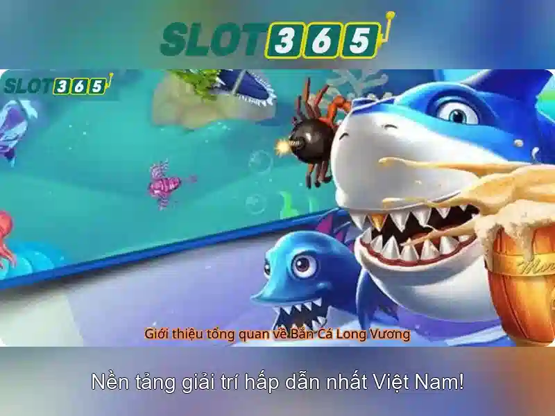An toàn và hỗ trợ người dùng