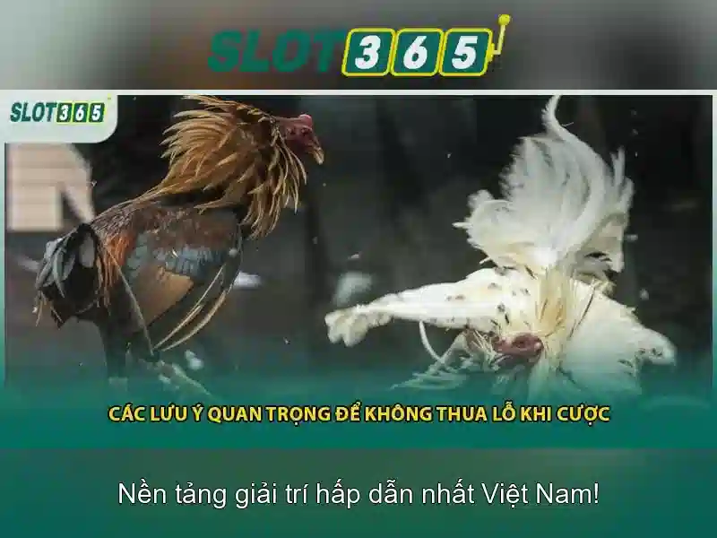 Slot365: Nơi trải nghiệm trò chơi casino trực tuyến