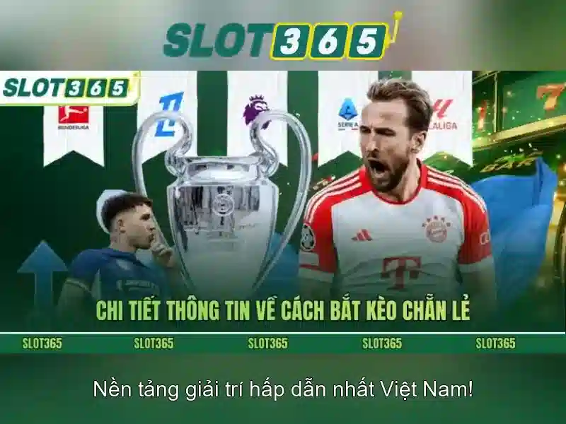 Slot365: Giới thiệu tổng quan\n