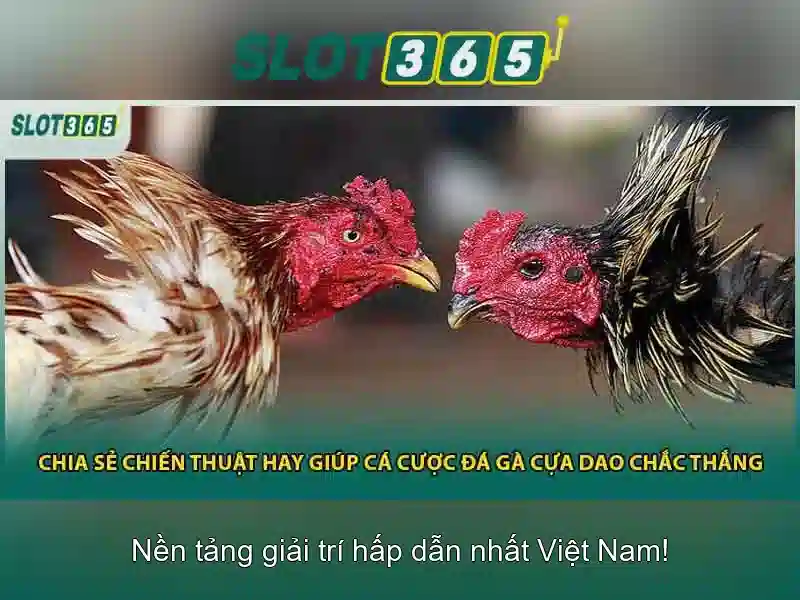 'Trải nghiệm người dùng và giao diện'