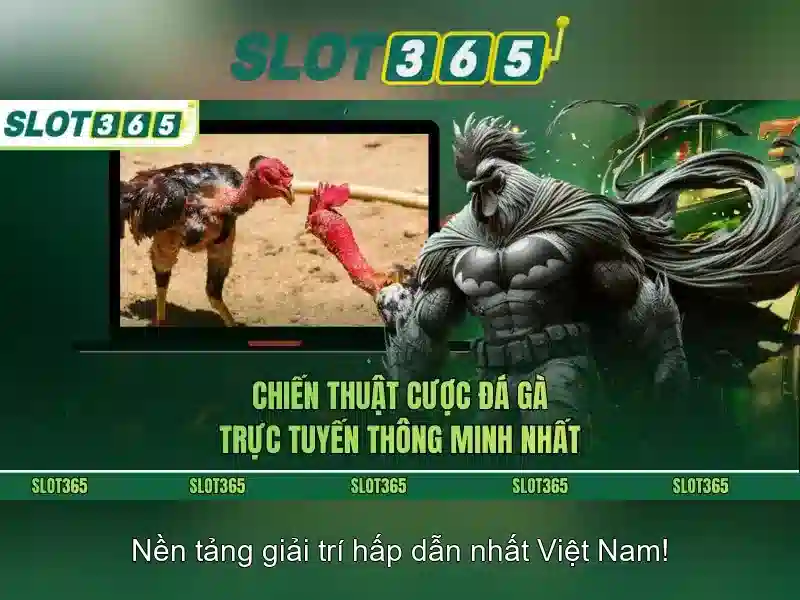 An toàn, thanh toán nhanh và hỗ trợ người dùng\n