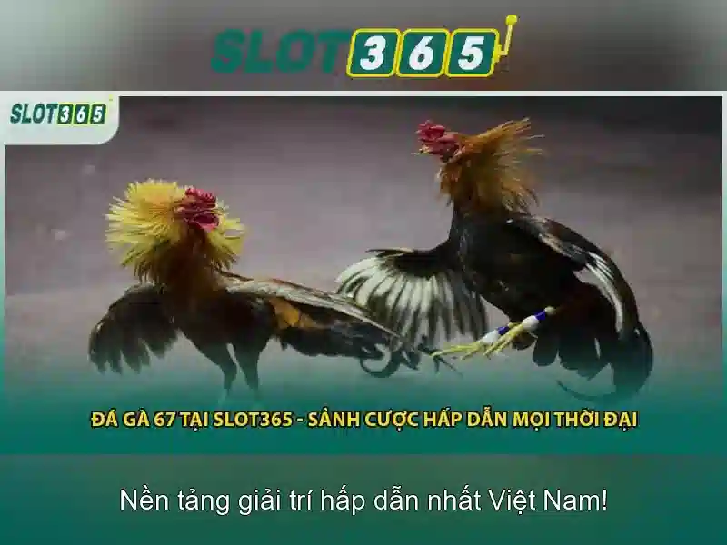 Đánh giá và cách bắt đầu