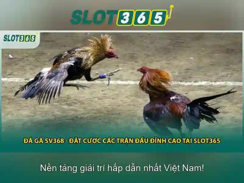 Chính sách khuyến mãi và thanh toán an toàn