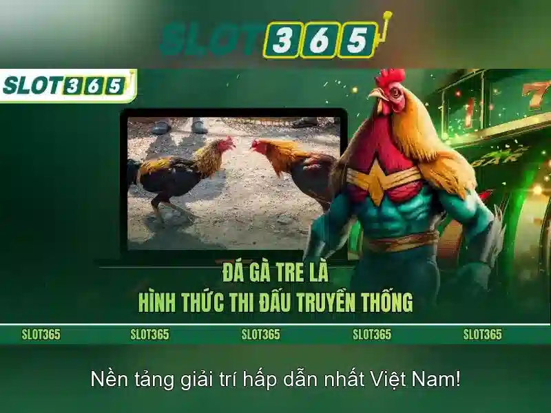 Trò chơi và bộ sưu tập