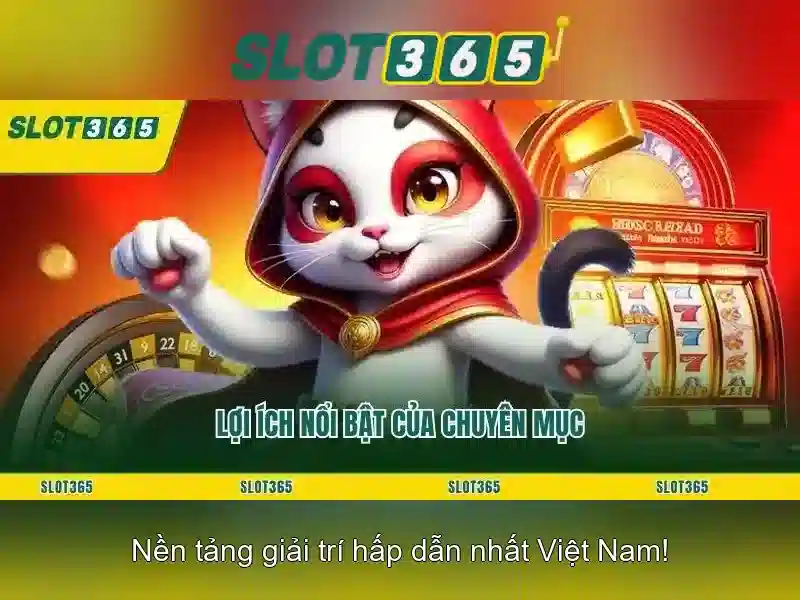 Slot365 - Nền tảng cá cược trực tuyến hàng đầu