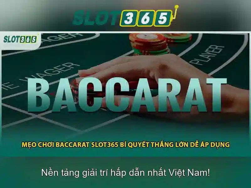 Slot365: Tổng quan về nền tảng cá cược trực tuyến