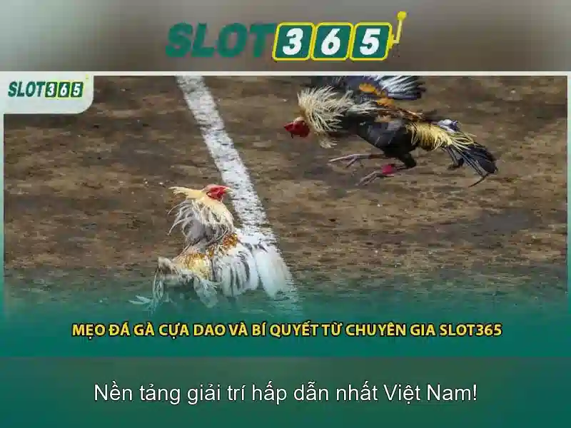 Giao diện người dùng và trải nghiệm