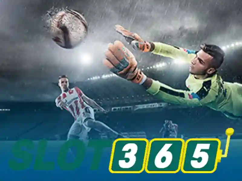 Phát triển và tầm nhìn tương lai