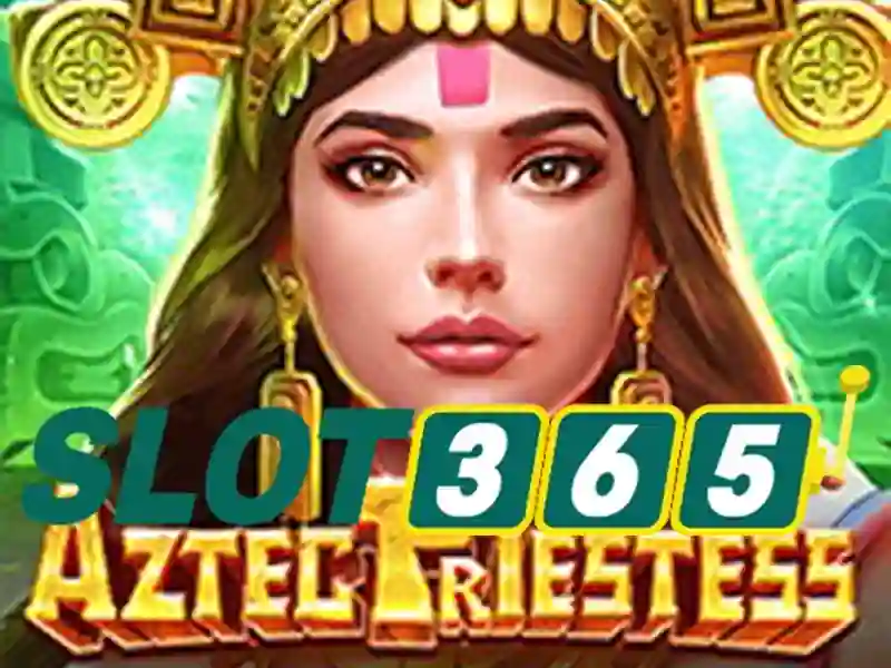 slot365 poker – tổng quan chủ đề và giá trị cốt lõi