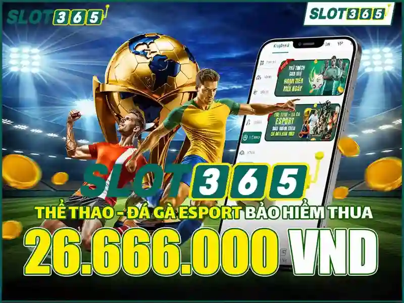 Trải nghiệm người dùng và giao diện