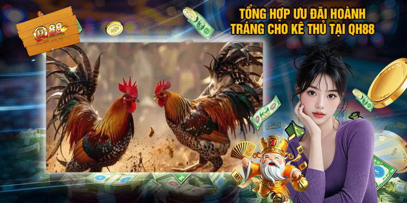 Các ưu đãi SLOT365 tặng kê thủ chơi đá gà cựa dao