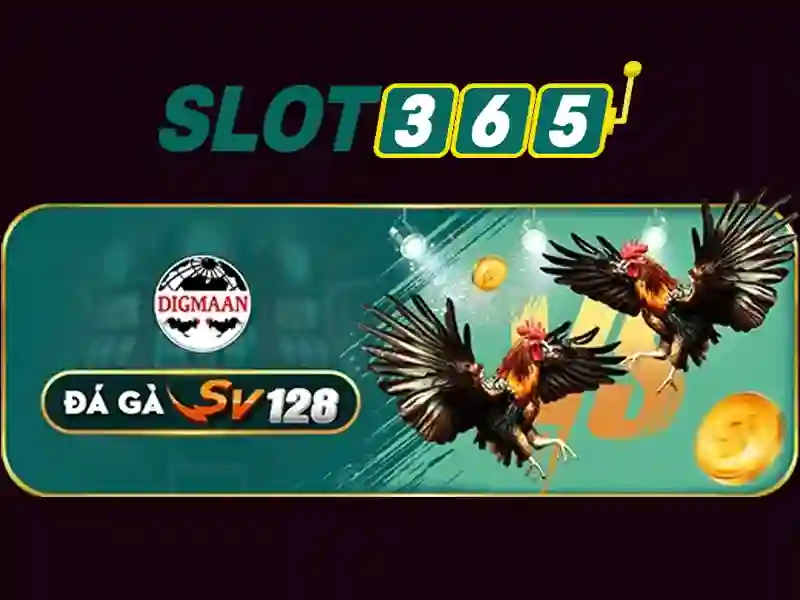 Chelsea – Djurgarden (2h00, 9/5): Nhận Định Từ Nhà Cái SLOT365